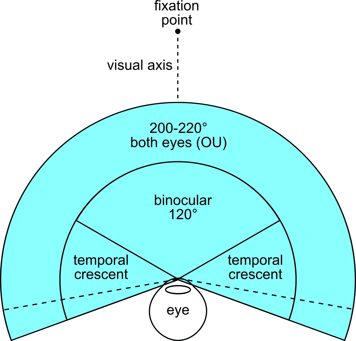 Field of view diagram