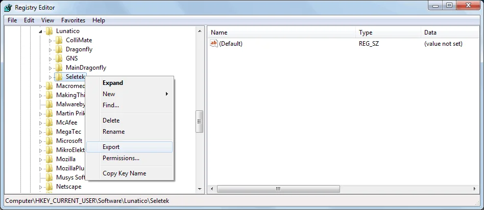 Windows Registry Editor exporting Seletek settings key