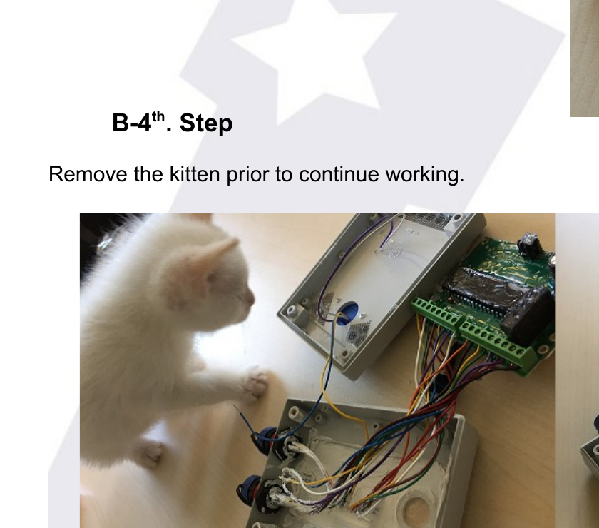 A white kitten curiously inspecting the open CloudWatcher box and its wiring